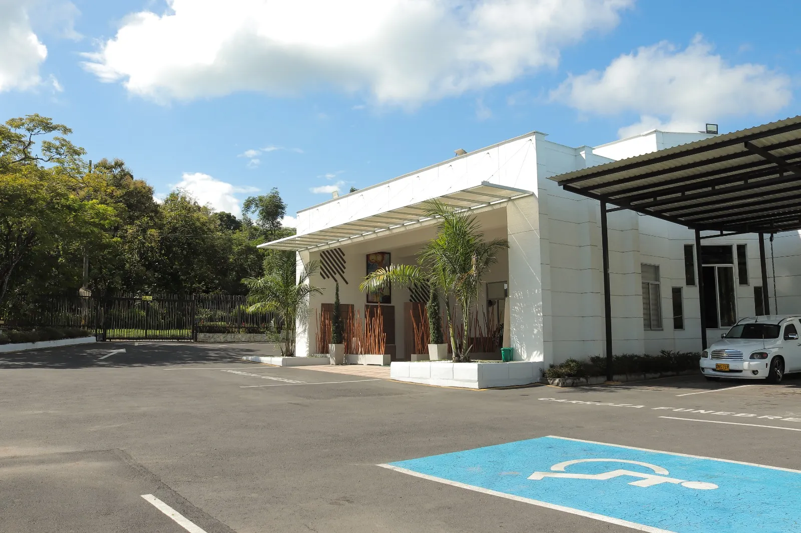 Árboles y naturaleza